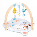 Hape Snuggle Bear Activity Gym